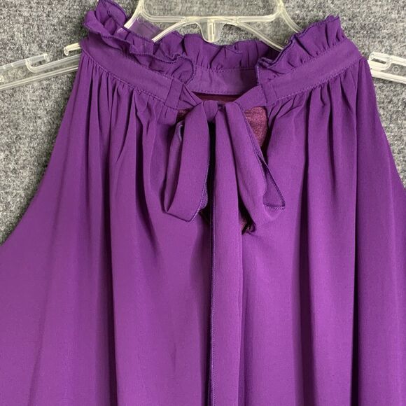 Unbranded Chiffon Maxi Dress Shift Lined Purple High Ruffle Neck Back Tie - Picture 7 of 7